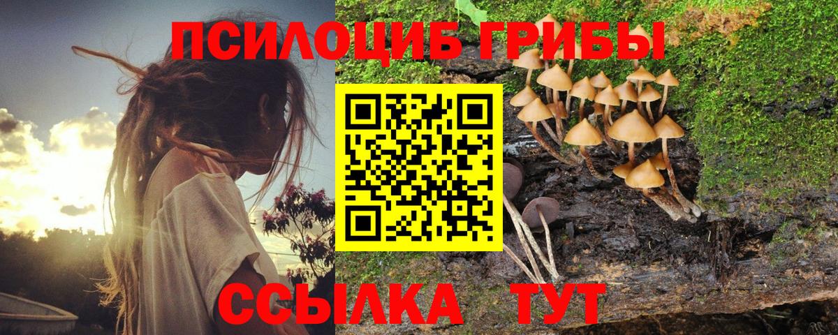 Галлюциногенные грибы GOLDEN TEACHER Первоуральск
