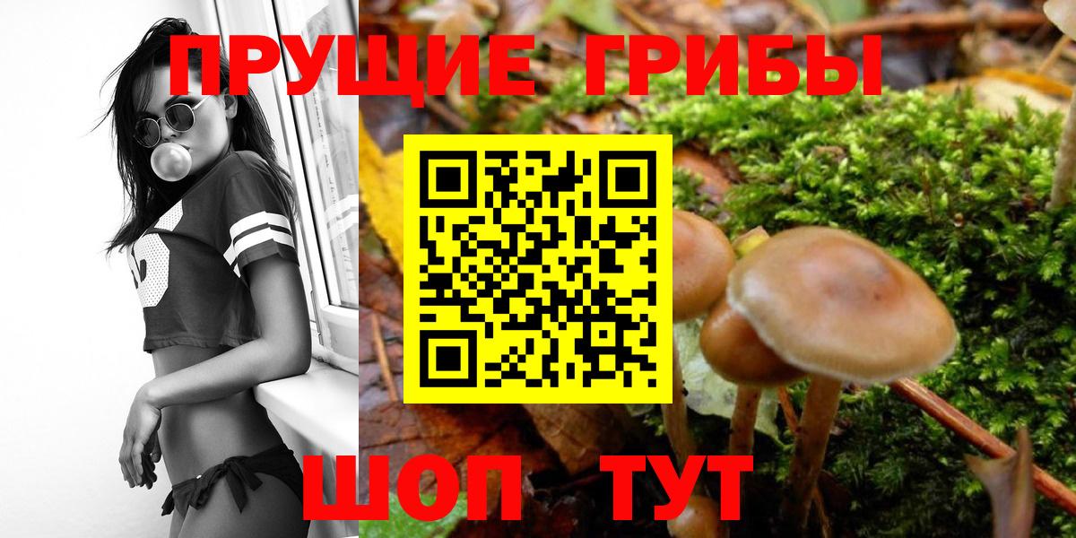 Первоуральск  Псилоцибиновые грибы мухоморы  Вход с VPN 